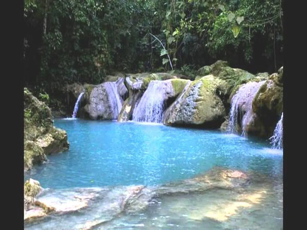 Mystic Ridge Apt 10E Apartment Trafalgar Jamaica